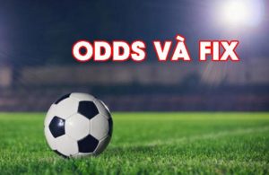 cách xem odds và fix của nhà cái