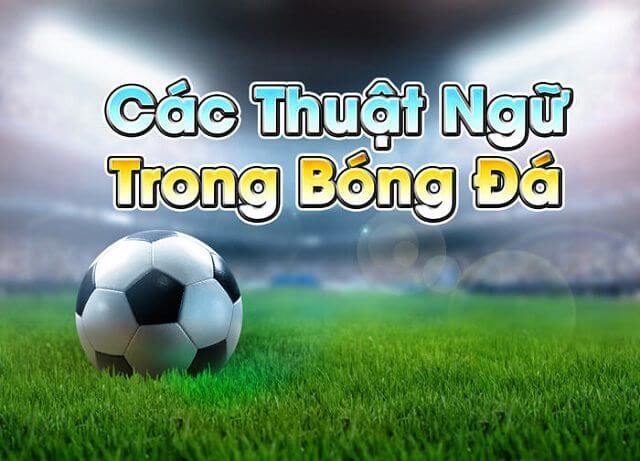 Thuật ngữ thường dùng trong đá bóng