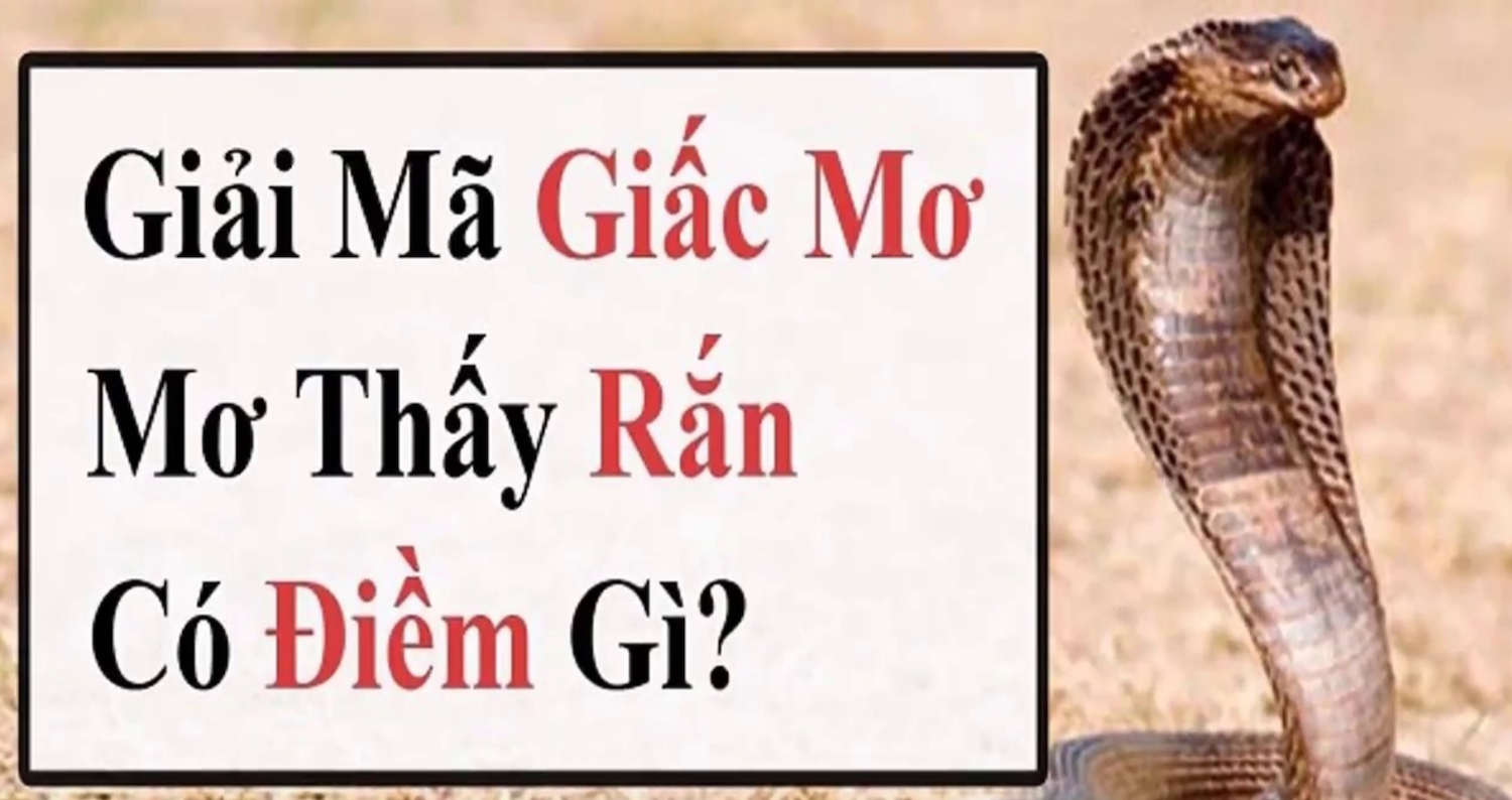 Giấc mơ thấy rắn cắn người khác là điềm dữ hay lành?