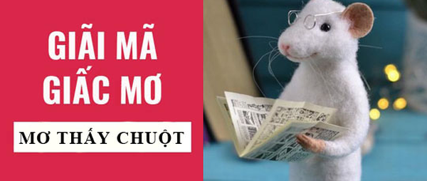 mơ thấy bắt chuột